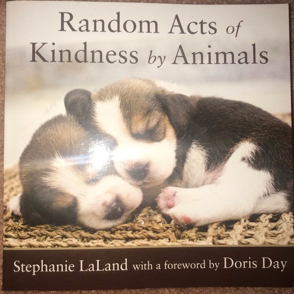 Cute little book - Picture 1 of 2